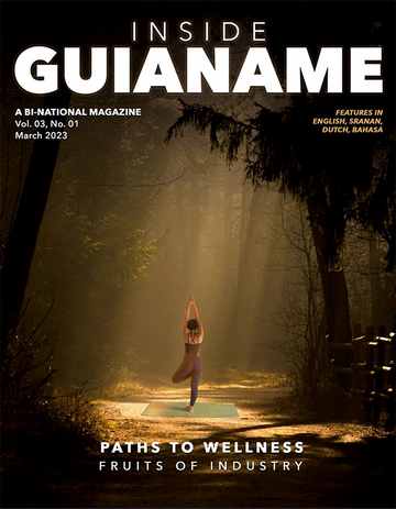 Inside guianame 03: paths to wellness
